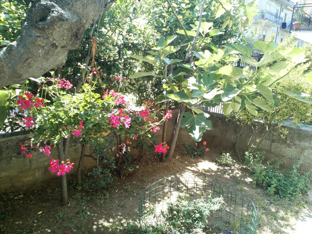 B&B A Casa Di Nonna فوندي المظهر الخارجي الصورة